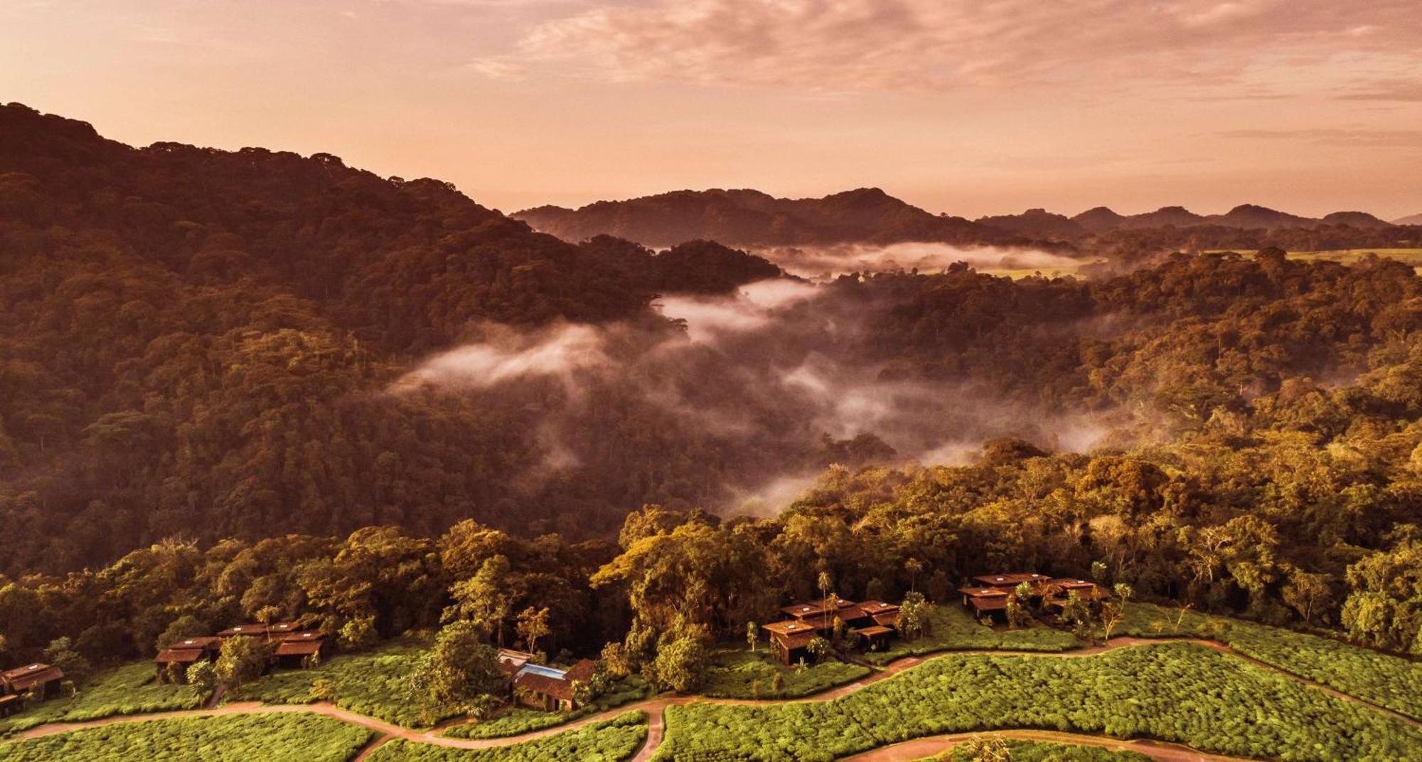 One&Only Nyungwe House Villa Rwumba Eksteriør billede