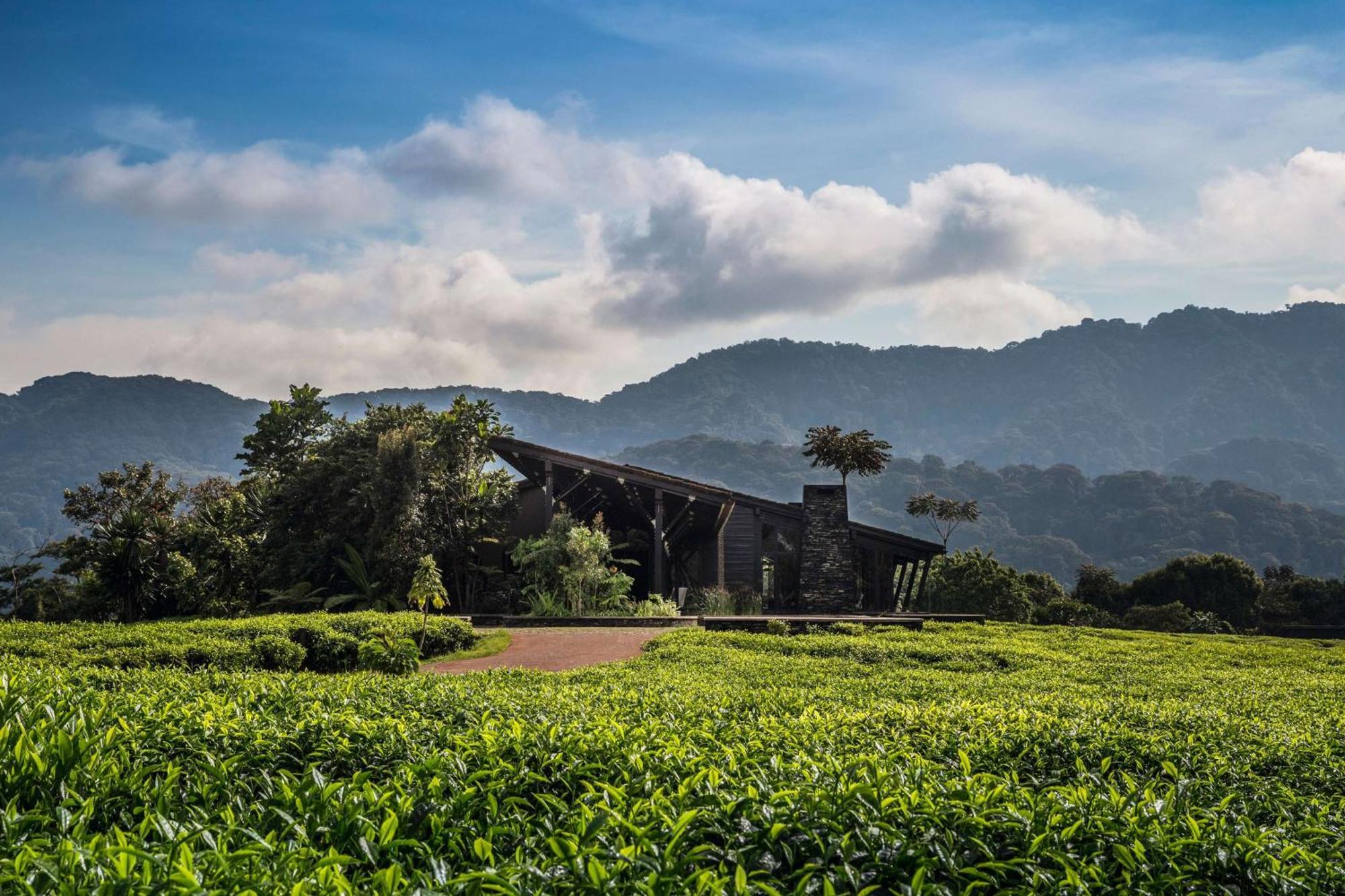One&Only Nyungwe House Villa Rwumba Eksteriør billede