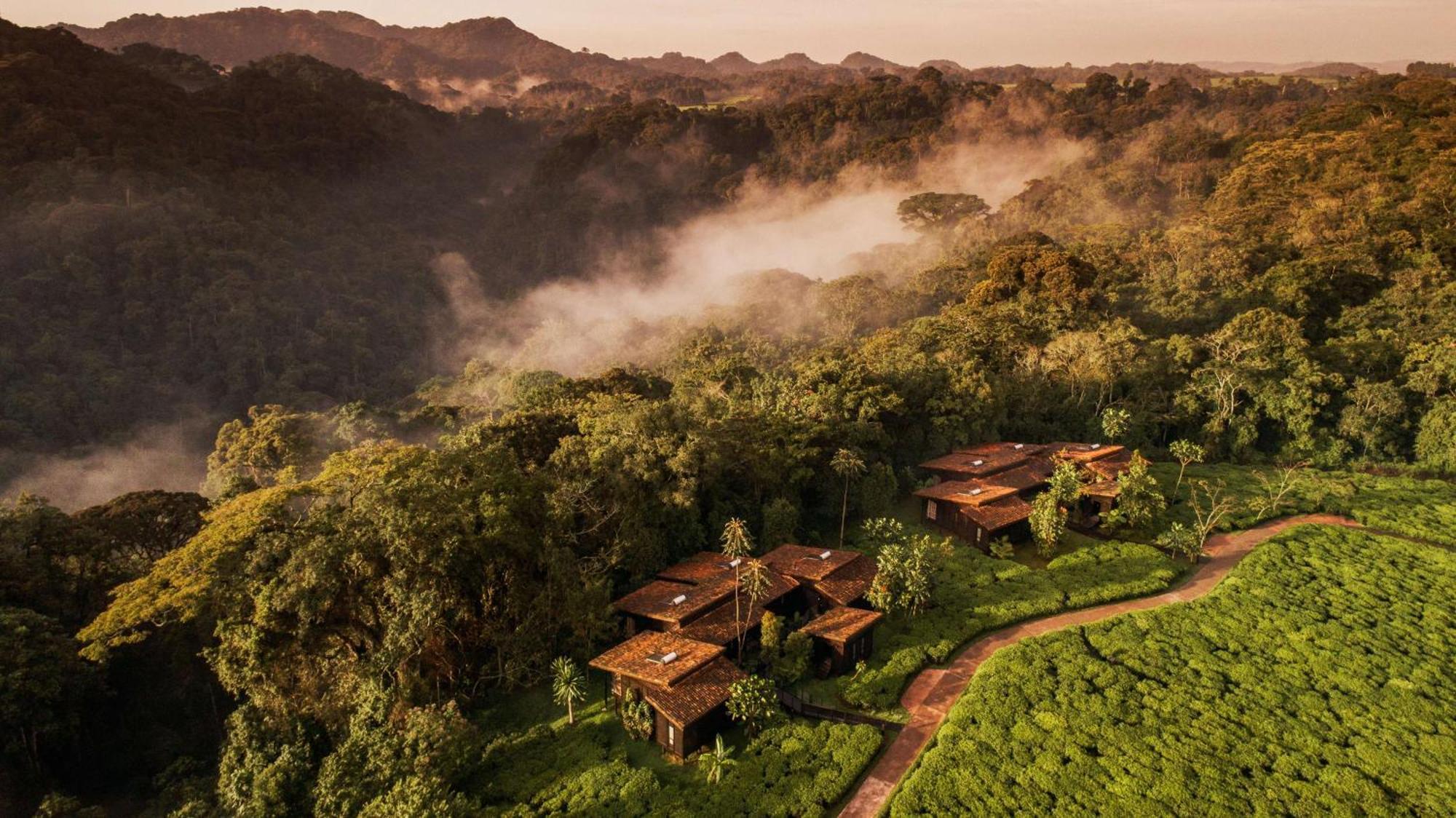 One&Only Nyungwe House Villa Rwumba Eksteriør billede