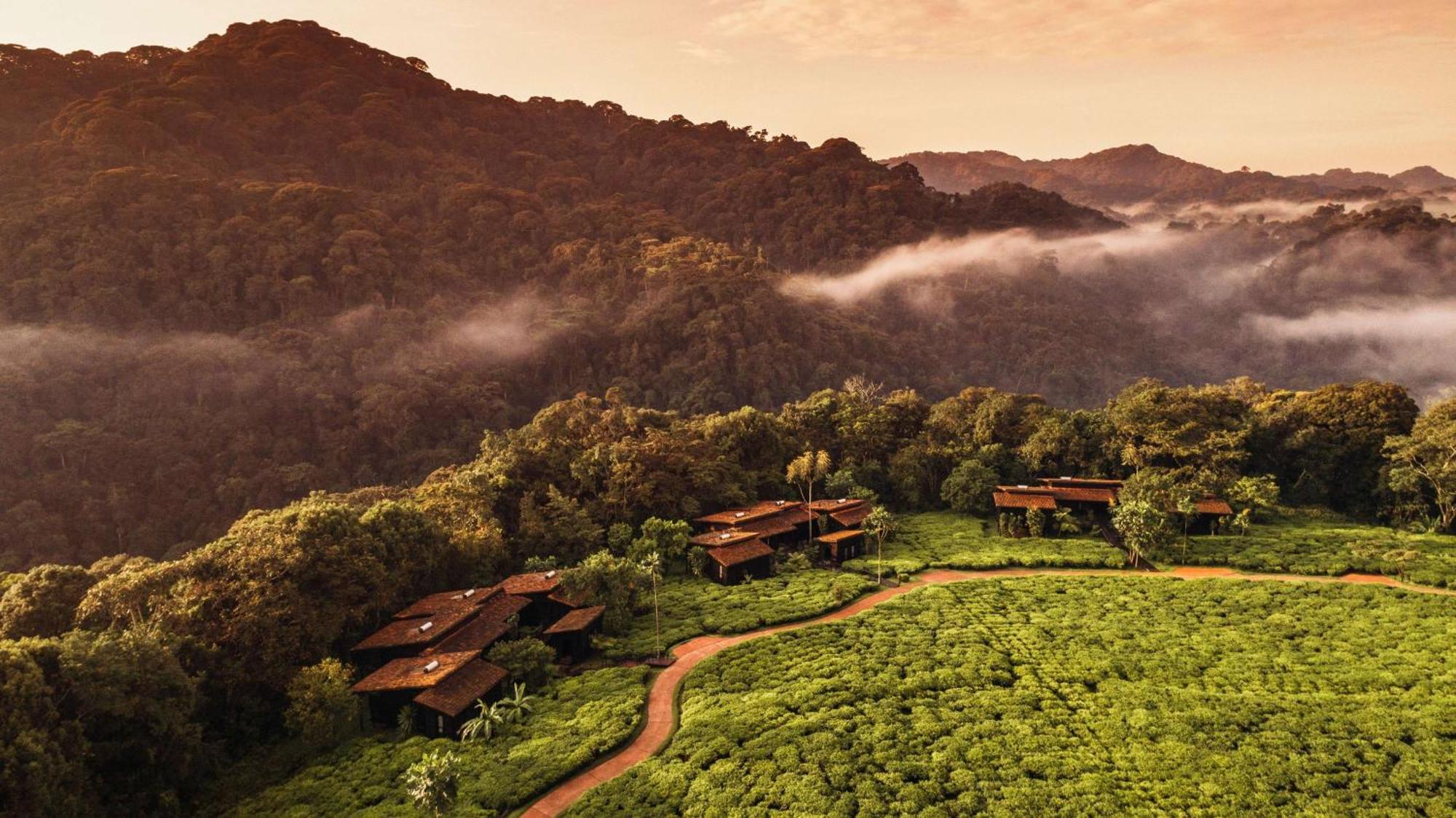 One&Only Nyungwe House Villa Rwumba Eksteriør billede