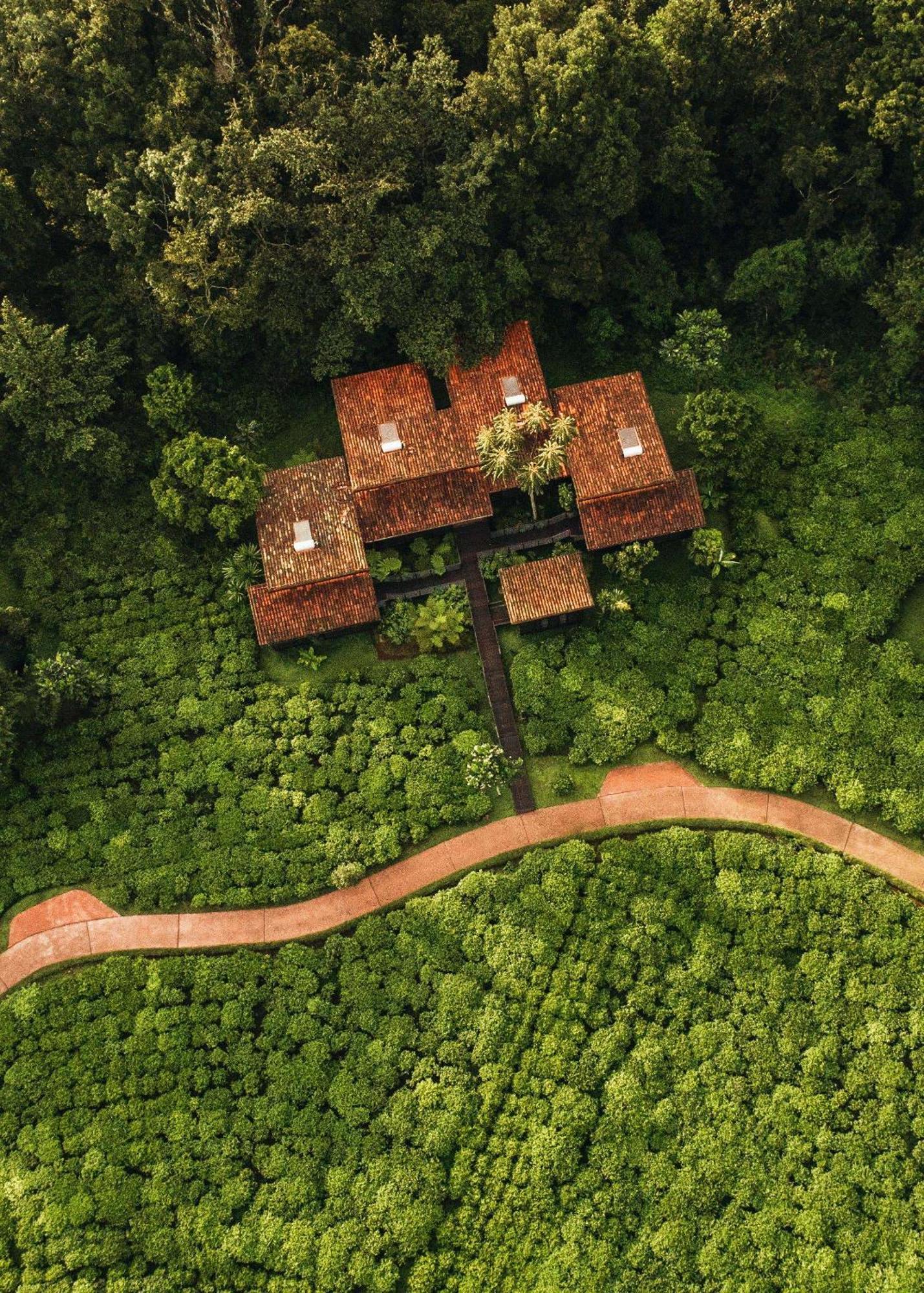 One&Only Nyungwe House Villa Rwumba Eksteriør billede